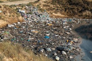 Read more about the article Keeping It Clean: Essential Trash Removal Strategies