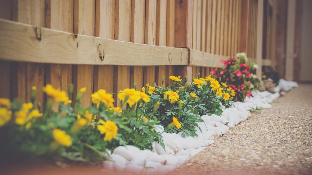 You are currently viewing Revitalize Your Yard: Effective Debris Removal Methods