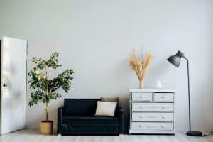 Read more about the article Smooth Sailing Furniture Removal: Expert Advice