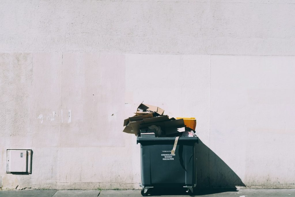 Read more about the article Dumpster Rental Dos and Don’ts for Beginners