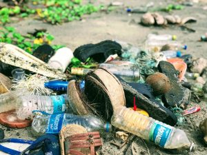 Read more about the article Understanding Hoarder Cleanup: A Comprehensive Approach