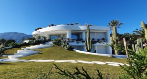 Read more about the article Rejuvenate Your Outdoor Space: Debris Removal Tips