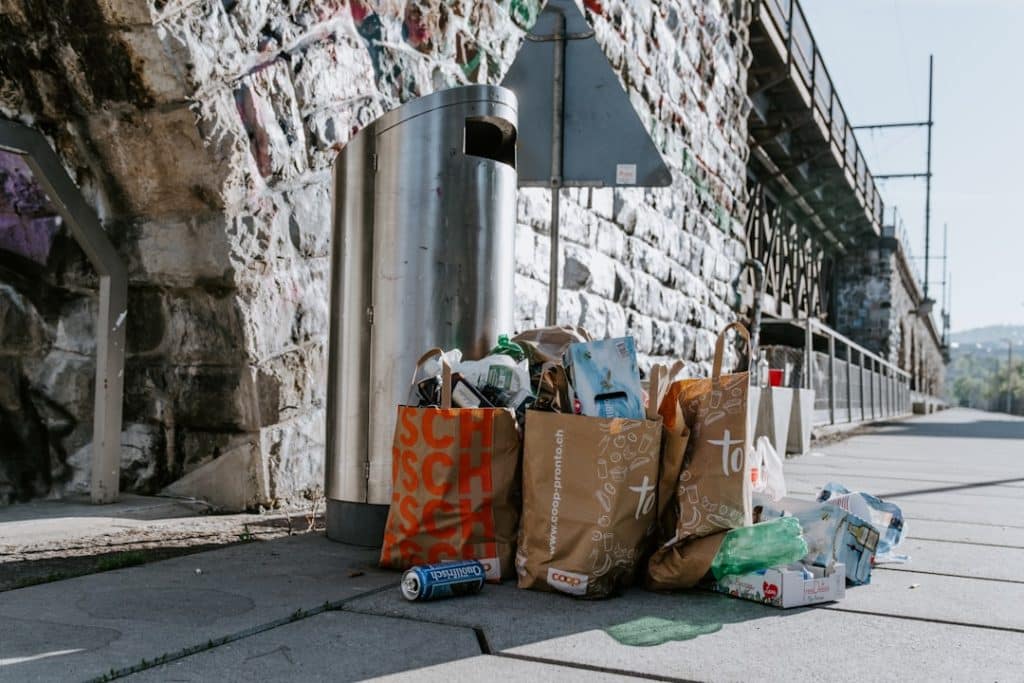Read more about the article Trash Removal Made Simple: Essential Guidelines