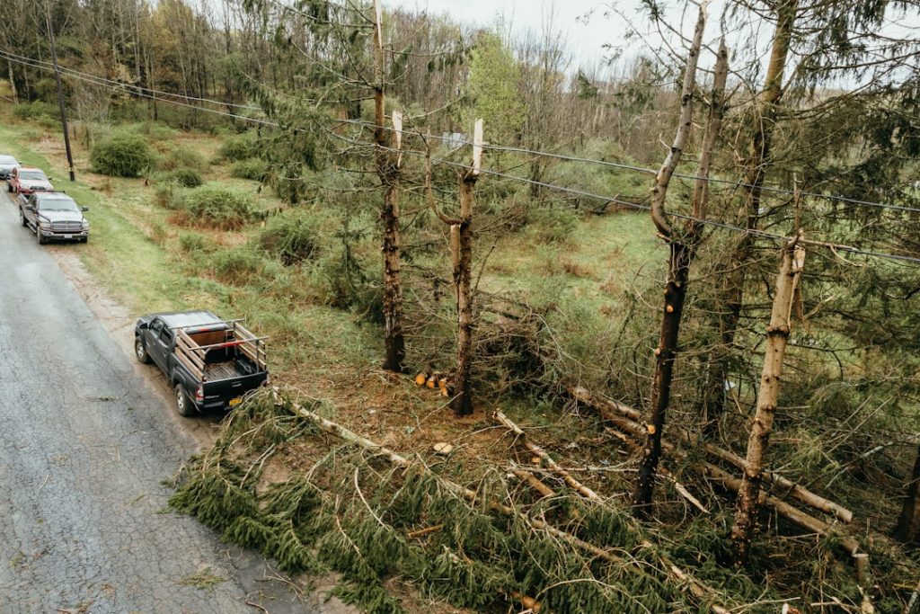 Read more about the article Transform Your Yard: Effective Debris Removal Techniques