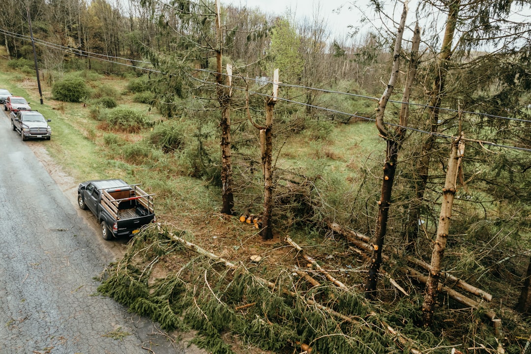 You are currently viewing Transform Your Yard: Effective Debris Removal Techniques