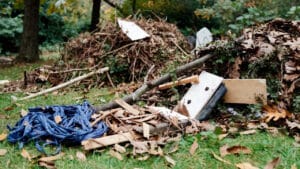 Read more about the article Fast Yard Debris Clearing Guide